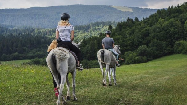 Domček Pod lipou Veličná 23 Domček Pod lipou Veličná 23