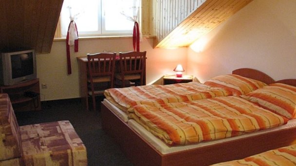Penzión u Tonky Borský Svätý Jur 12