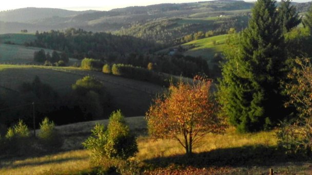 Drevenica Koliba Drábsko 35