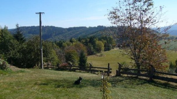Drevenica Koliba Drábsko 38