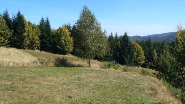 Drevenica Koliba Drábsko 39