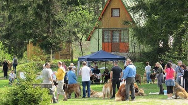 Autocamping Tajov 29