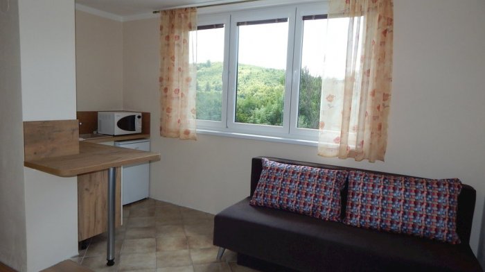 Apartmán (Apartmán s 1 spálňou)