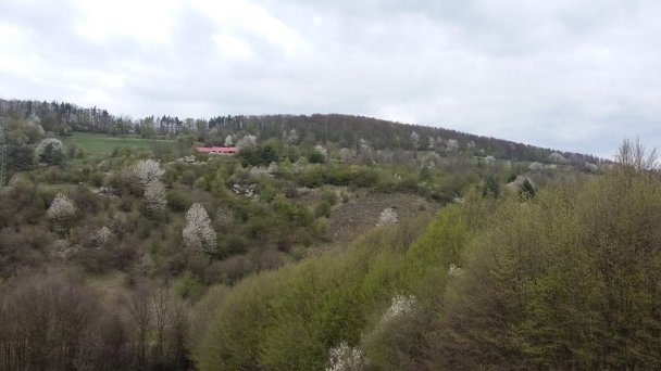 Chata Adamovka Hrabičov 21