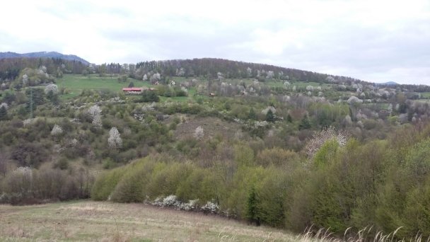 Chata Adamovka Hrabičov 22