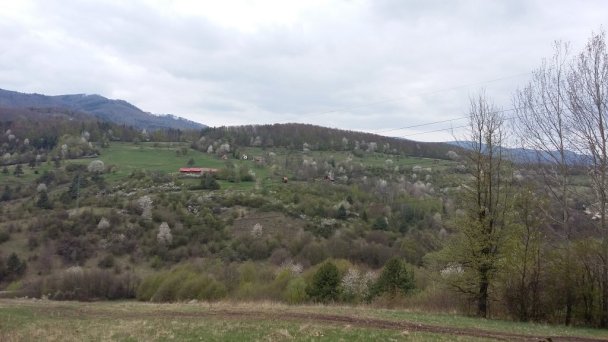 Chata Adamovka Hrabičov 24