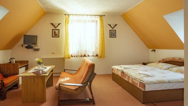 Soler Pension Kremnica 35