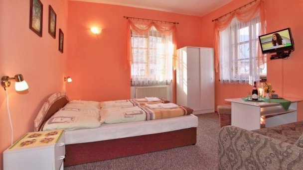 Soler Pension Kremnica 5