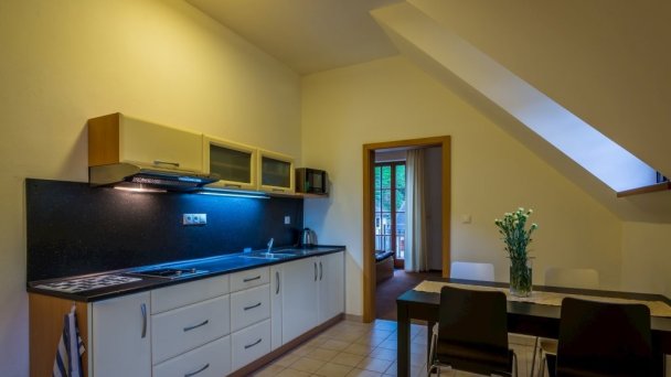 Apartmány Weissov dom Hodruša - Hámre 12 Apartmány Weissov dom Hodruša - Hámre 12