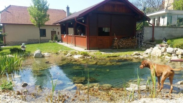U Hučku Stará Myjava 22