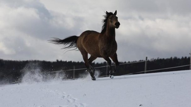Ubytovanie Ranch 13 36