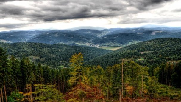 Drevenica u Jozefa Vysoká nad Kysucou 16 Drevenica u Jozefa Vysoká nad Kysucou 16