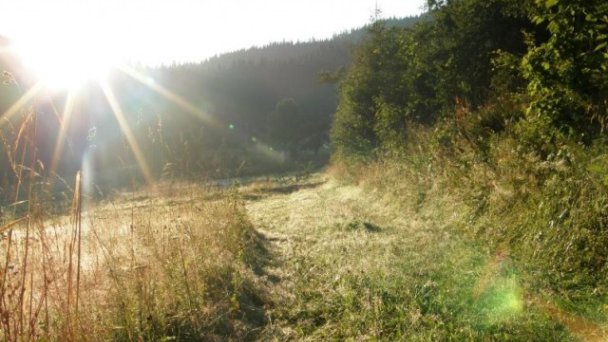 Drevenica u Jozefa Vysoká nad Kysucou 17 Drevenica u Jozefa Vysoká nad Kysucou 17