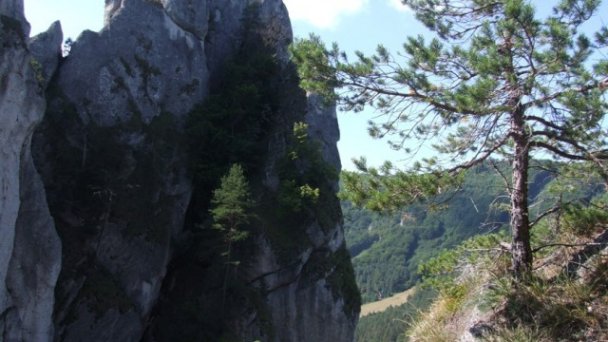 Chata Súľov Hradná 26