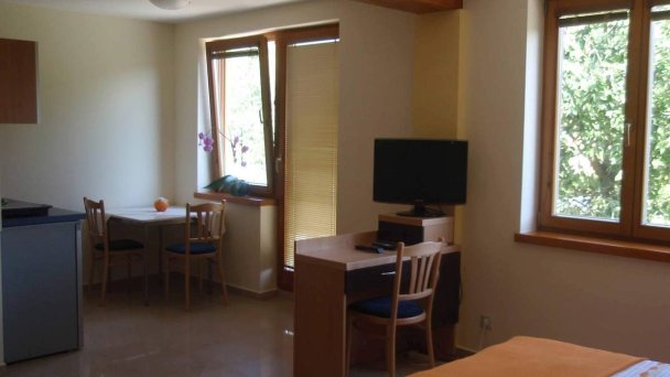 Vila Orchidea Rajecké Teplice 22