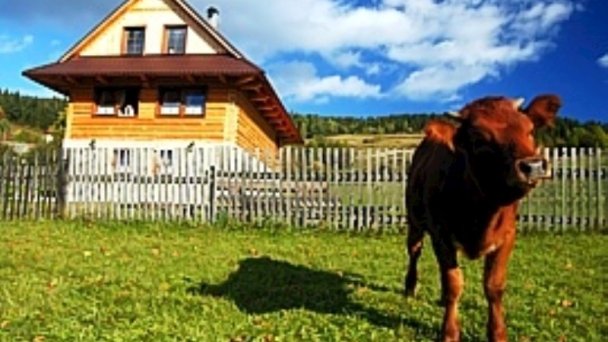 Zrub Goral Oščadnica 3