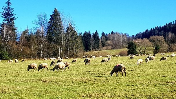 Chata pri Veľkej Rači Oščadnica 3