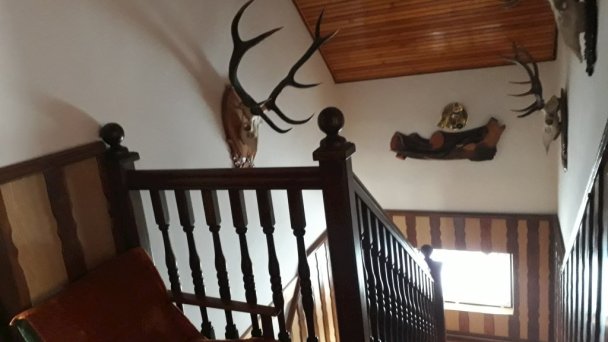 Chata u Jeleňa Oščadnica 12