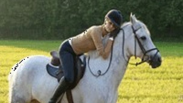 Chata Lesník Martin 28