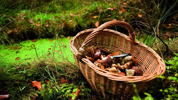 Chata Bačova skala Liptovský Ján 60