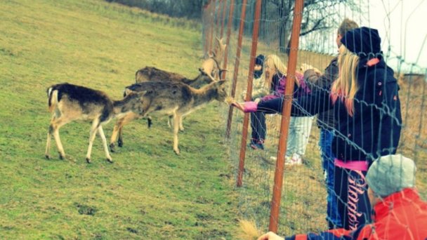 Chata Poľana Čierne 15 Chata Poľana Čierne 15