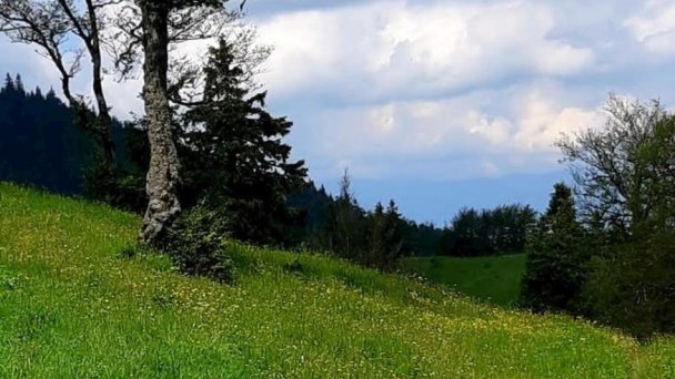 Drevenica Denisa Liptovské Revúce 22