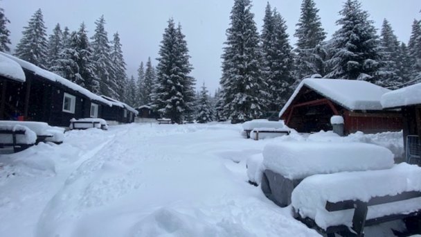 Bungalovy Jasná Demänovská Dolina 6 Bungalovy Jasná Demänovská Dolina 6