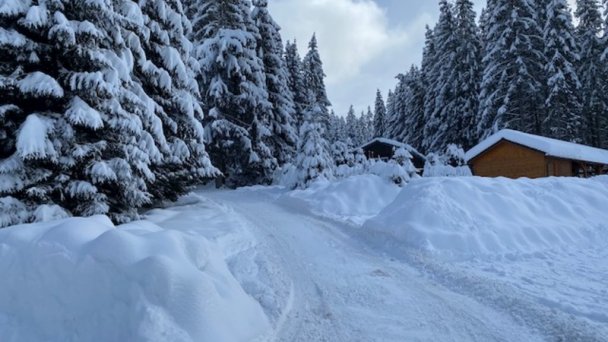 Bungalovy Jasná Demänovská Dolina 13 Bungalovy Jasná Demänovská Dolina 13