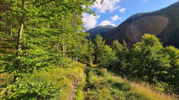 Chalet Alaskit Jasná Demänovská Dolina 30