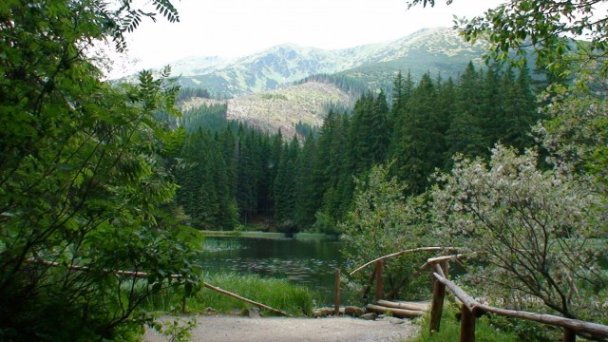 Penzión Aspen Demänovská Dolina 10