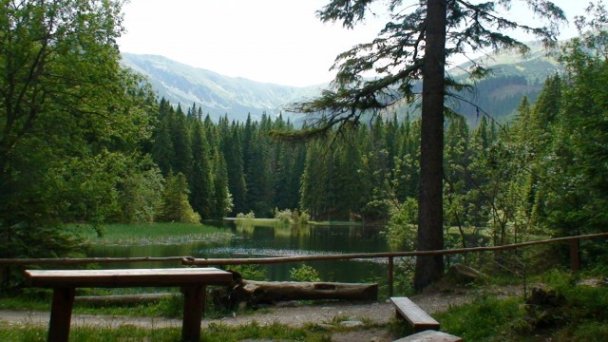 Penzión Aspen Demänovská Dolina 9