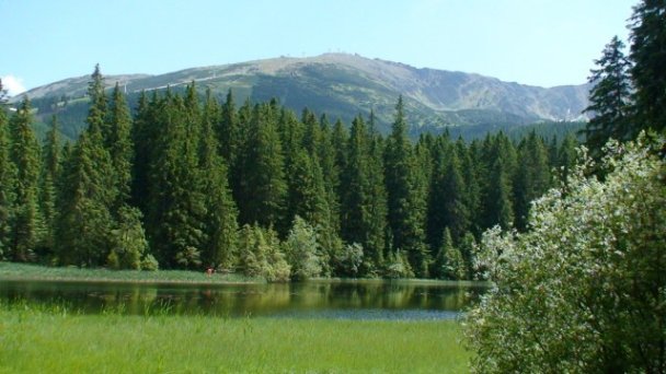 Penzión Aspen Demänovská Dolina 8