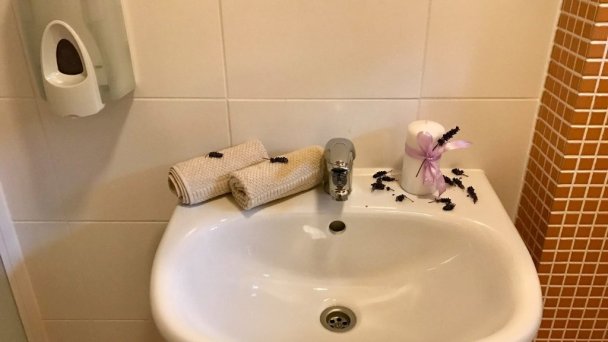 Drevenica Levanduľa Terchová 39