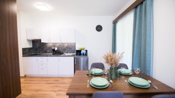 Galeria Apartments Demänovská Dolina 28