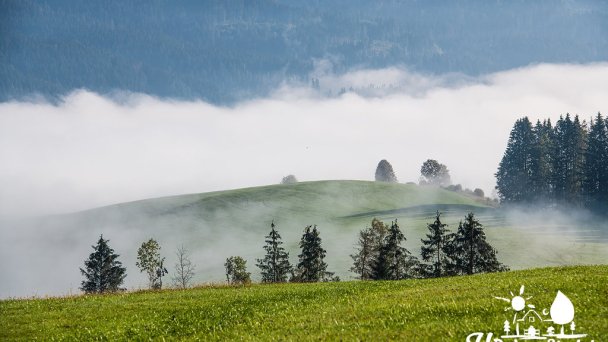 Ubytovanie U Deda a Starkej Čierny Balog 16