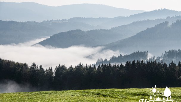 Ubytovanie U Deda a Starkej Čierny Balog 8