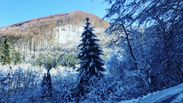 Ubytovanie Koliba Sklené Teplice 24 Ubytovanie Koliba Sklené Teplice 24