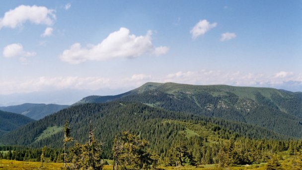 Drevenica Emilka Polomka 39