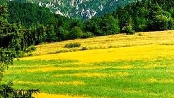 Hacienda Pod skalkou Terchová 33