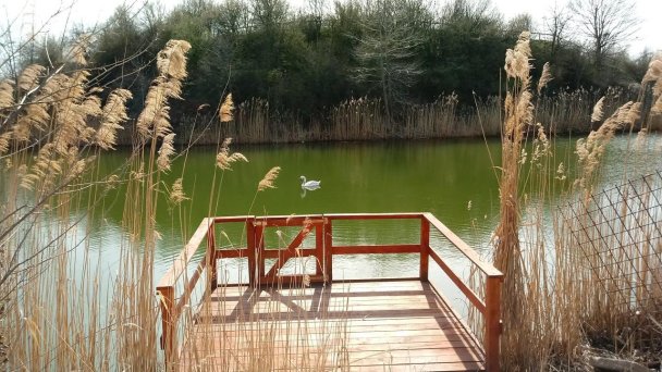 Apartmán Nóra Dunajská Streda 5