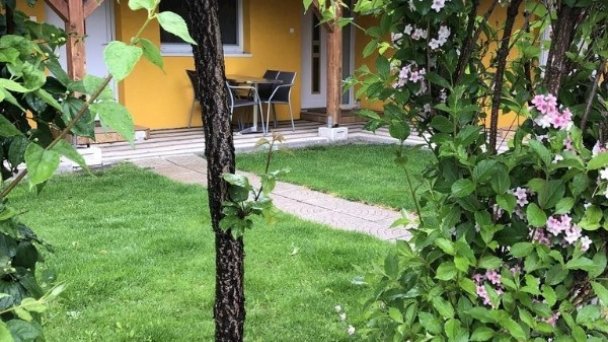 HB Apartments Veľký Meder 22