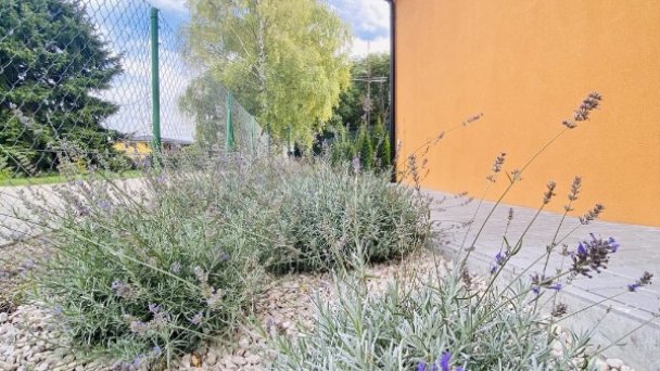 Apartmány Kaja a Niko Veľký Meder 61 Apartmány Kaja a Niko Veľký Meder 61