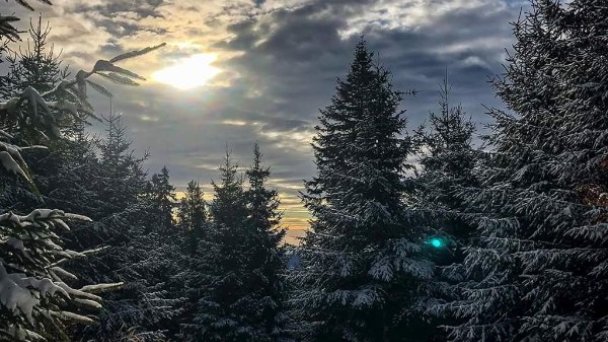 Drevenica Vychylovka Nová Bystrica 42