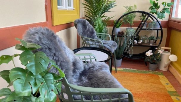 Luxusné APARTMÁNY KOLLÁR 44