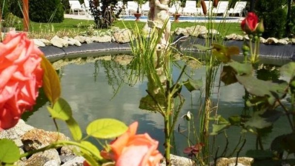 Apartmány Vlcsko Veľký Meder 26 Apartmány Vlcsko Veľký Meder 26