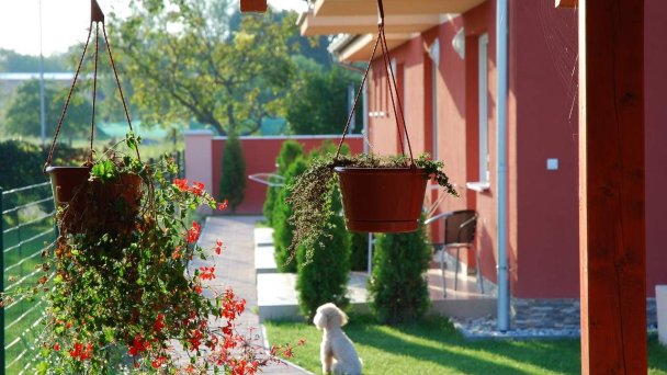 Fridrich Apartmán Veľký Meder 9