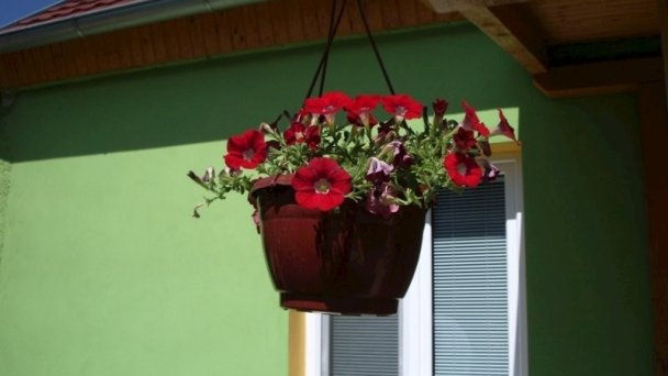 Ubytovanie u Angely, Veľký Meder 20