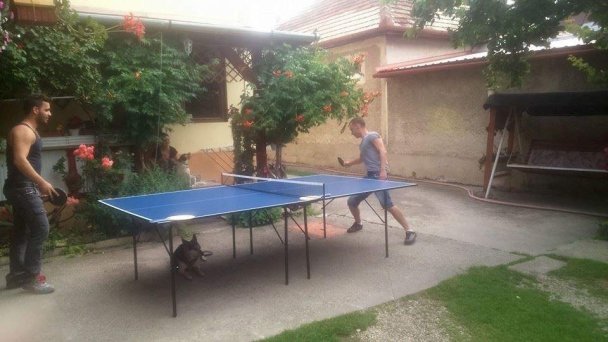 Apartmán Lali Veľký Meder 38