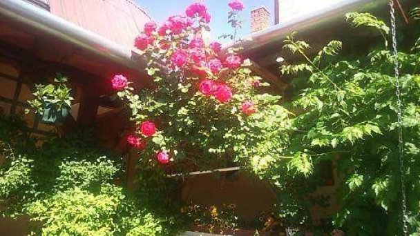 Apartmán Lali Veľký Meder 27