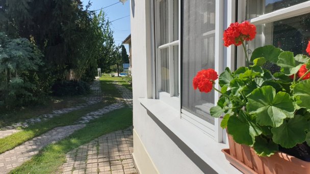 Penziónový domček Emese a Pivničná chatka pri jazere Búč 26
